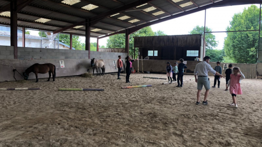 Séjour équestre adapté